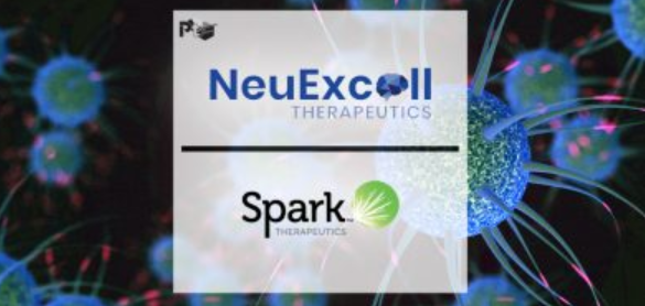NeuExcell and Spark Developing Treatment for Huntington’s Disease